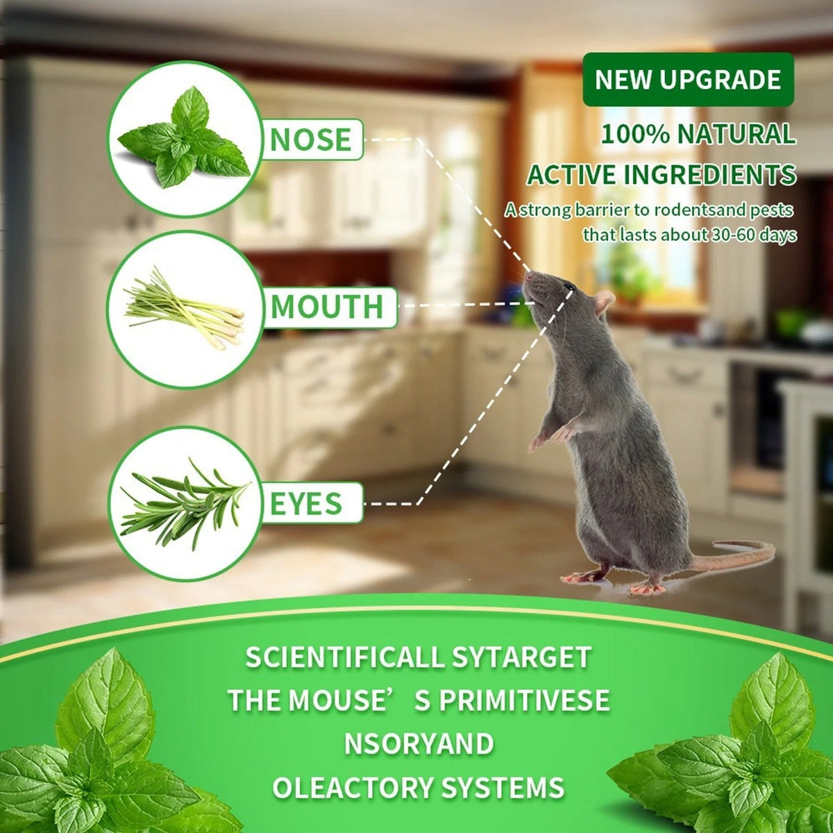 Effective Rat Mouse Repellent Balls