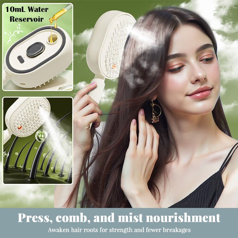 Steam Hair Brush For Women