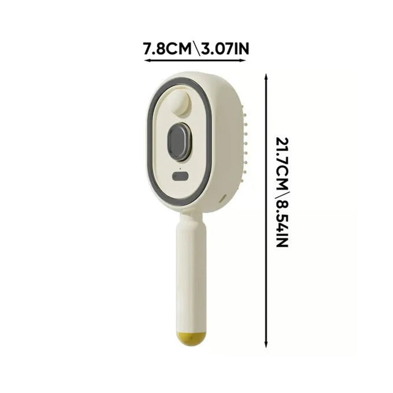 Steam Hair Brush For Women
