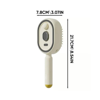 Steam Hair Brush For Women