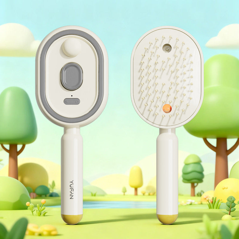 Steam Hair Brush For Women