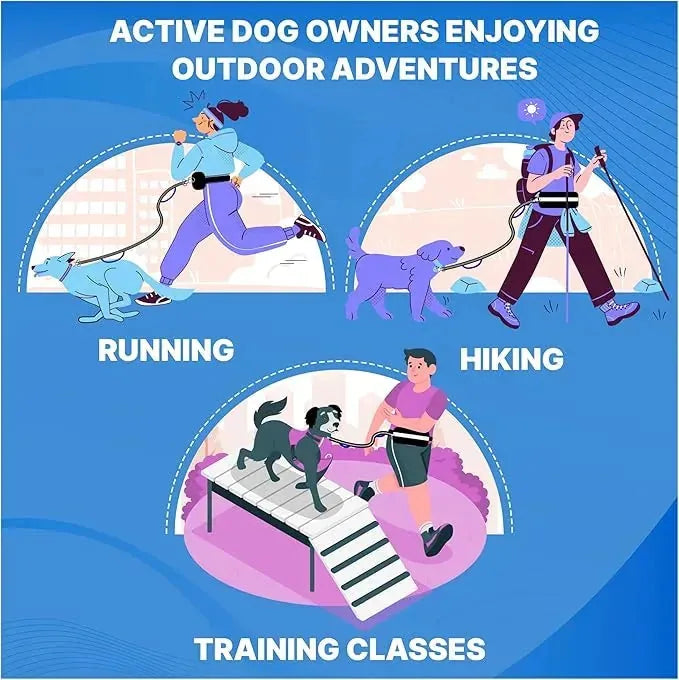 Pet Running Tether Exercise Rope Set Reflective Night Running Sports Pack