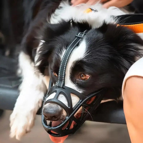 Dog Muzzle for Bite and Bark Control