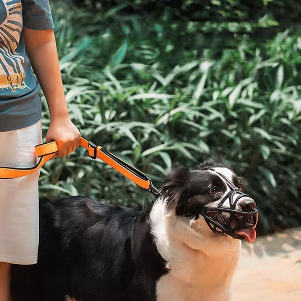 Dog Muzzle for Bite and Bark Control