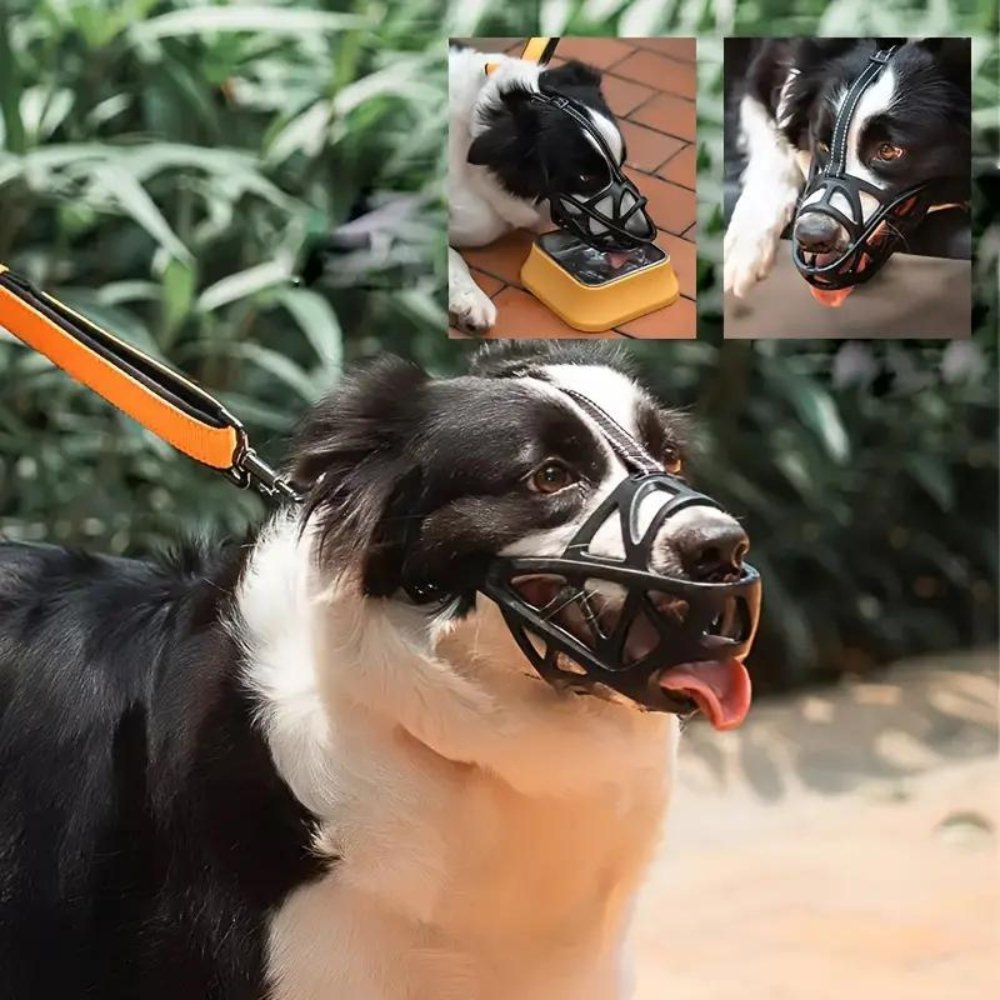 Dog Muzzle for Bite and Bark Control