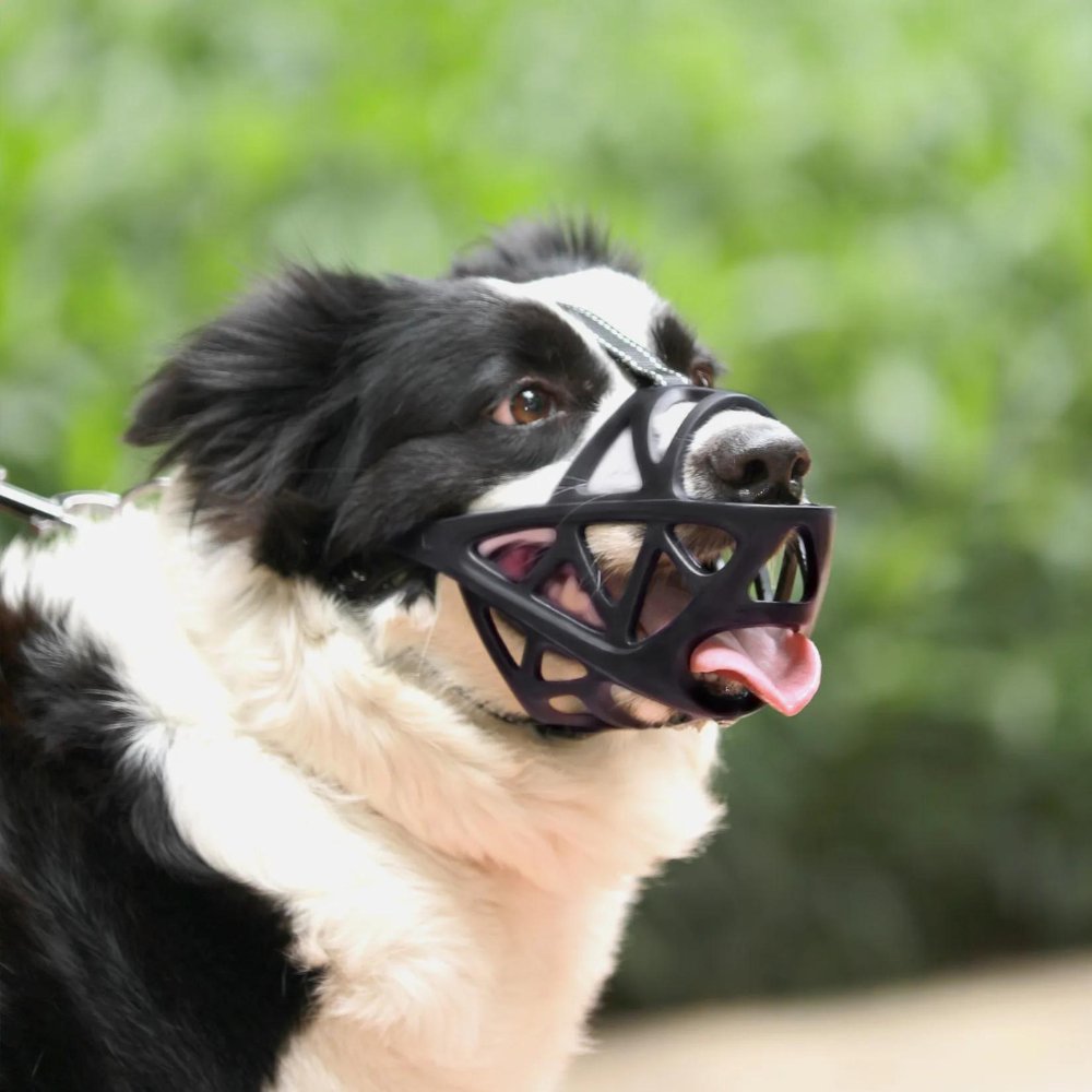 Dog Muzzle for Bite and Bark Control