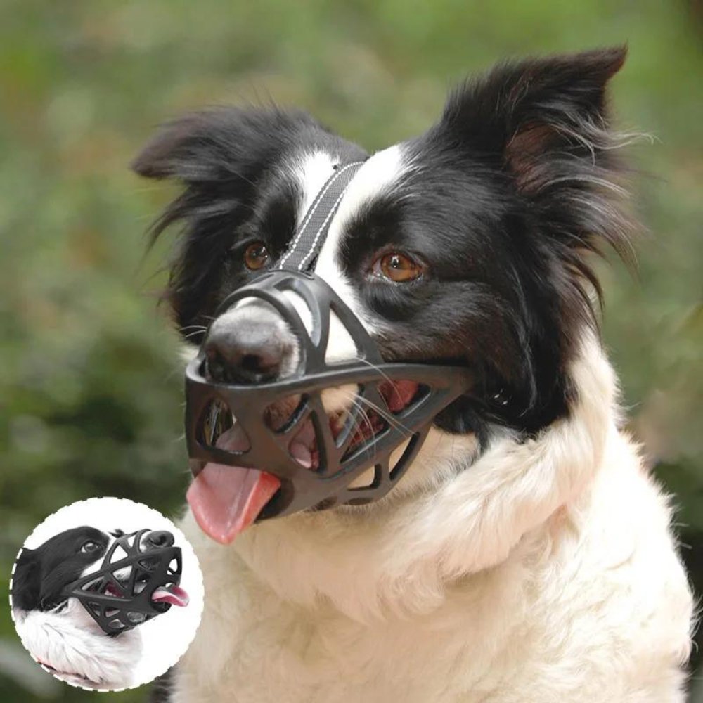 Dog Muzzle for Bite and Bark Control