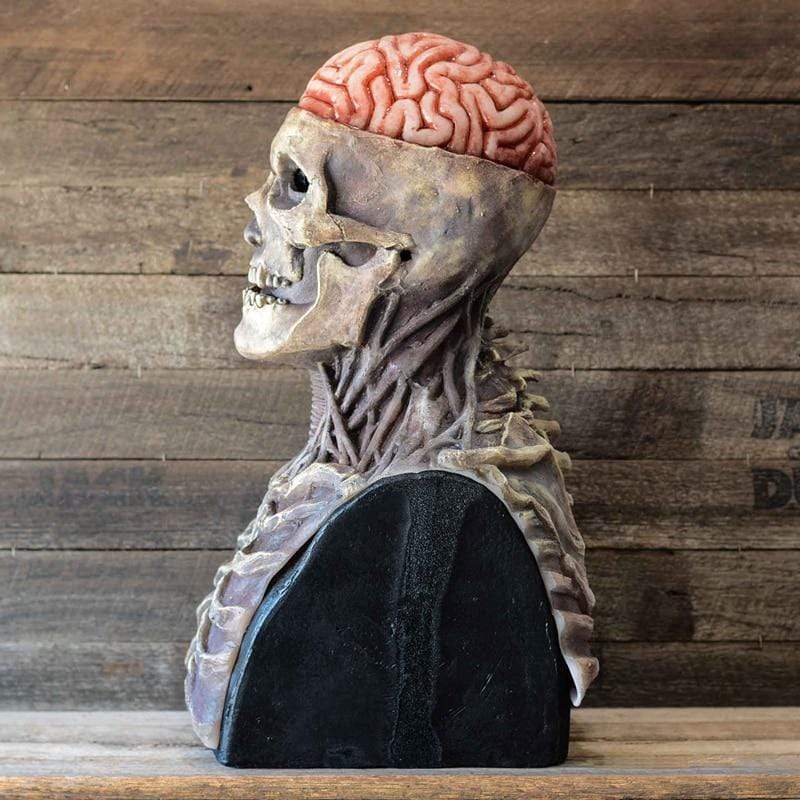 Realistic Skull Zombie Mask