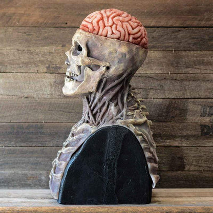 Realistic Skull Zombie Mask