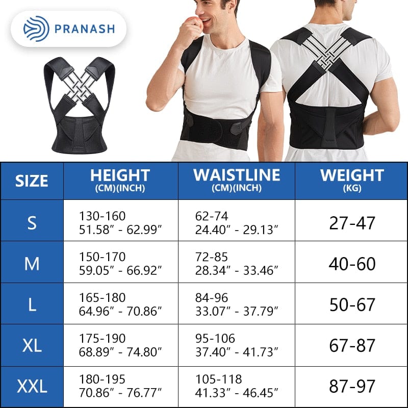Posture Pro Flex Ergonomic Back Support System
