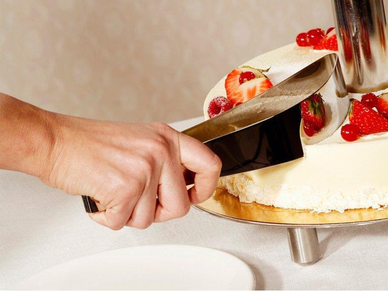 Stainless-Steel Perfect Cake Cutter & Slicer