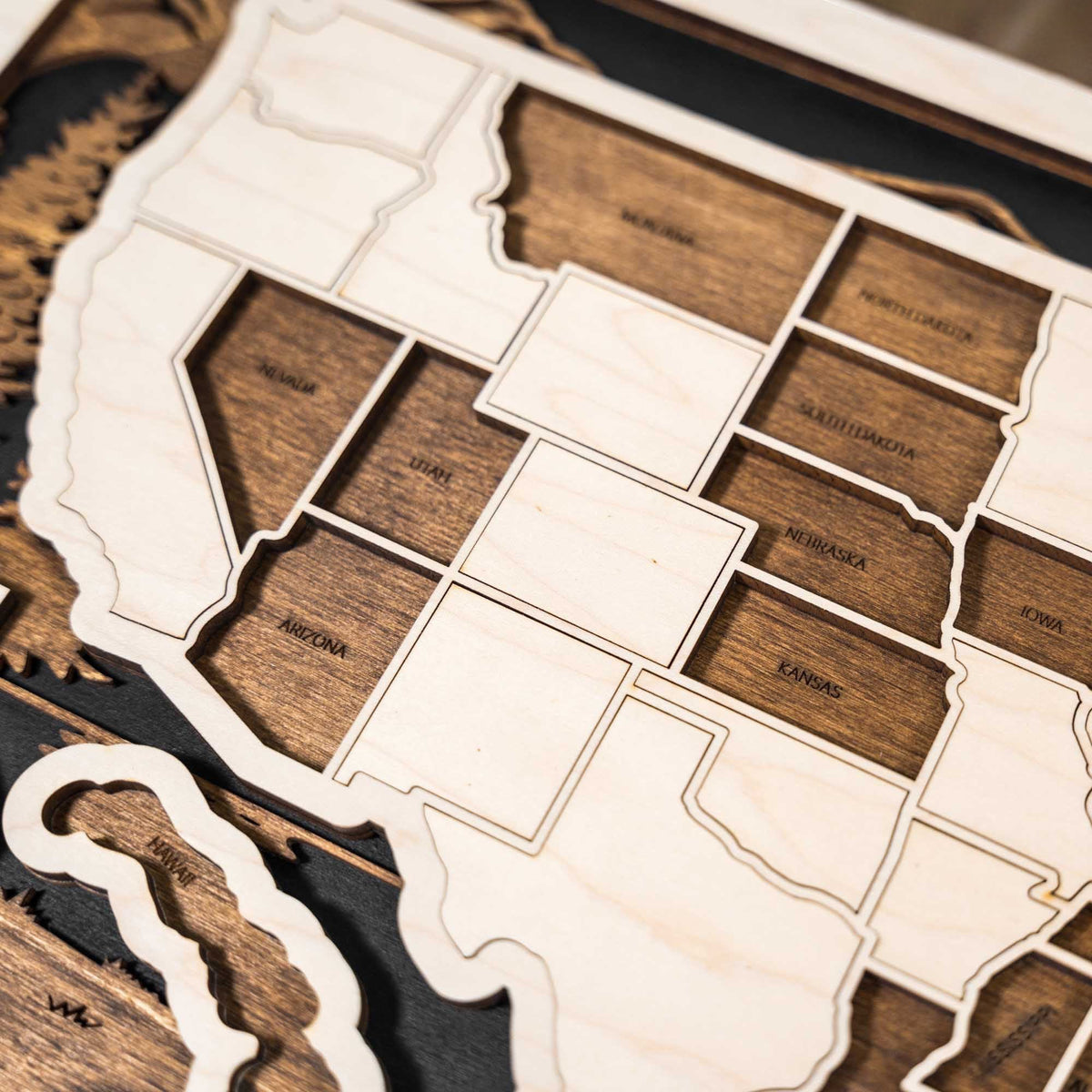 USA Travel Map Wooden Wall Art With Peel and Stick State Pieces