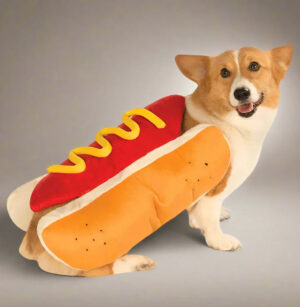 Hot Dog Pet Costume